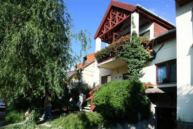 Vila Siesta Vendeghaz Eger Exteriér fotografie